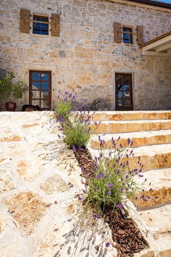 Sveti Lovreč Pazenatički Stone House Dijana Istria Sveti Lovrecヴィラ エクステリア 写真